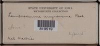 Image Associated With the Occurence